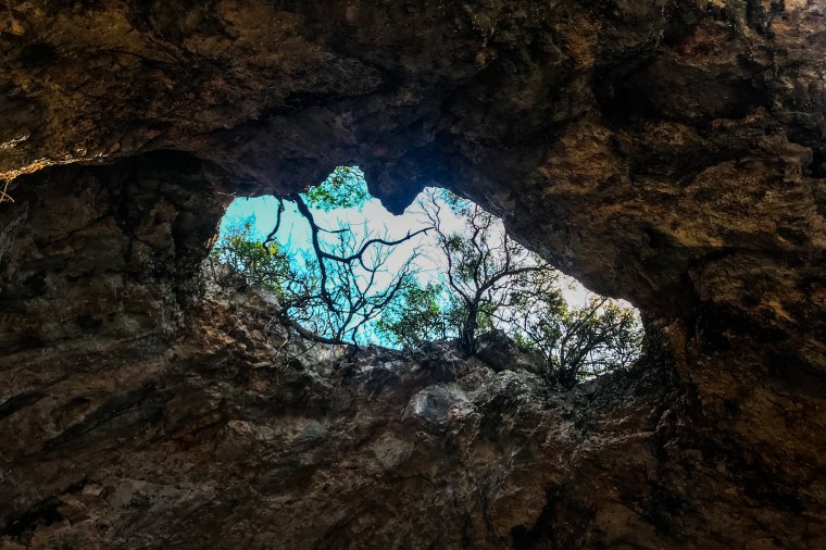 F30A85C8-A98A-4360-9432-7320ED060988